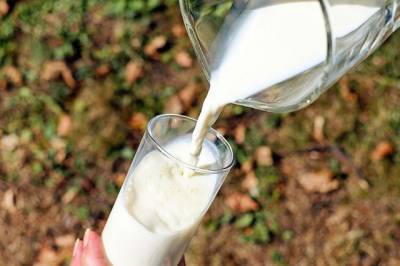 Диетолог рассказал, способствует ли употребление молока развитию рака - aif.ru - Испания - Санчес