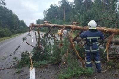 В Украине из-за непогоды обесточены 112 населенных пунктов | Происшествия | Mignews.com.ua - mignews.com.ua - Украина - Ивано-Франковская обл. - Кировоградская обл. - Черновицкая обл.