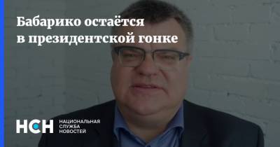 Александр Лукашенко - Лидий Ермошин - Анна Канопацкая - Андрей Дмитриев - Сергей Тихановский - Виктор Бабарико - Валерий Цепкало - Светлана Тихановская - Сергей Черечень - Бабарико остаётся в президентской гонке - nsn.fm - США - Белоруссия