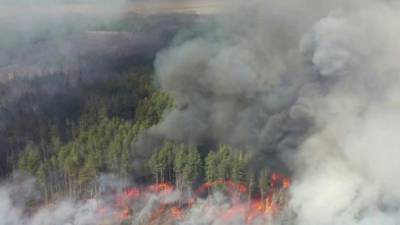 В Зоне отчуждения новый масштабный пожар, - ГСЧС - ru.espreso.tv - Украина - Гсчс