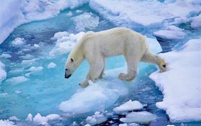 Потепление Арктики идет на 80 лет быстрее - korrespondent.net - Россия - респ. Саха - шт.Аляска - Верхоянск - Арктика