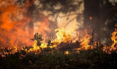 Рекордная жара в Якутии привела к многочисленным лесным пожарам - newizv.ru - Китай - респ. Саха - Монголия - Шанхай - Верхоянск