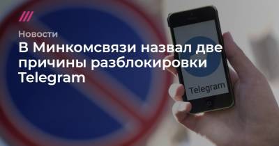 Павел Дуров - Александр Авилов - В Минкомсвязи назвал две причины разблокировки Telegram - tvrain.ru - Москва - Россия