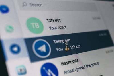 Алексей Волин - Названы причины разблокировки Telegram - versia.ru - Россия