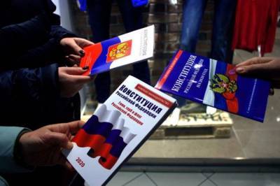 В корпус наблюдателей по поправкам в Конституцию вошло более 20 тыс человек - aif.ru - Москва