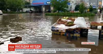 Поваленные деревья и затопленные подворья: Украиной прошлась непогода - tsn.ua - Украина - Ивано-Франковская обл. - Кировоградская обл.