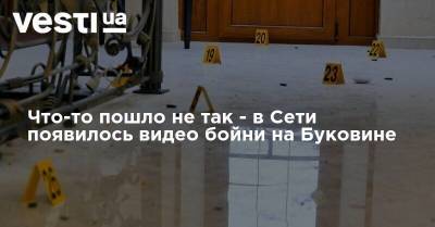 Что-то пошло не так - в Сети появилось видео бойни на Буковине - vesti.ua - Украина - Одесская обл. - Черновицкая обл.