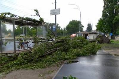 Непогода в Украине оставила без света более 200 городов и сел - newsone.ua - Украина - Ивано-Франковская обл. - Кировоградская обл. - Винницкая обл. - Черновицкая обл. - Львовская обл. - Полтавская обл.