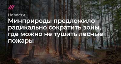 Минприроды предложило радикально сократить зоны, где можно не тушить лесные пожары - tvrain.ru - Россия