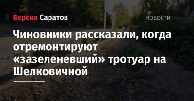 Чиновники рассказали, когда отремонтируют «зазеленевший» тротуар на Шелковичной - nversia.ru - район Фрунзенский