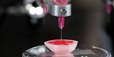 Учёные нашли метод печати органов внутри человека - inform-ua.info - США