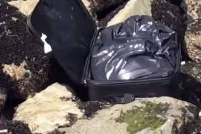 Блогер - Юный блогер снимал видео про загадочный чемодан на берегу и нашел труп - lenta.ru - США - Сиэтл