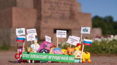 В Петербурге прошли игрушечные пикеты и митинг против поправок в Конституцию - piter.tv - Россия - Санкт-Петербург