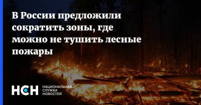 В России предложили сократить зоны, где можно не тушить лесные пожары - nsn.fm - Россия