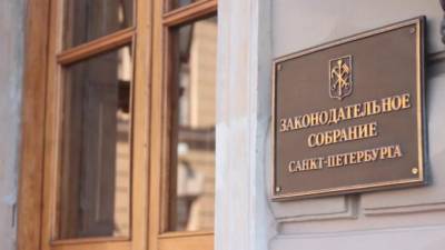 В ЗакСе выбирают из двух аудиторов на должность главы КСП - piter.tv - Санкт-Петербург