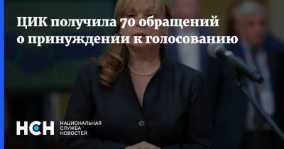 Элла Памфилова - ЦИК получила 70 обращений о принуждении к голосованию - nsn.fm - Конституция