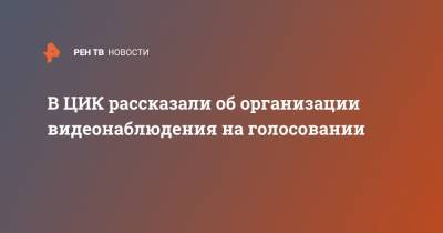 Элла Памфилова - В ЦИК рассказали об организации видеонаблюдения на голосовании - ren.tv - Москва - Россия - Нижегородская обл.