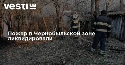 Пожар в Чернобыльской зоне ликвидировали - vesti.ua - Украина