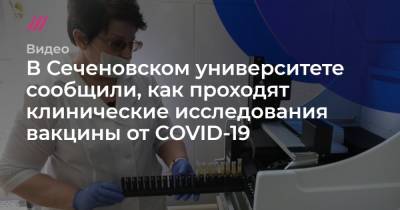 Андрей Никеричев - В Сеченовском университете сообщили, как проходят клинические исследования вакцины от COVID-19 - tvrain.ru - Москва