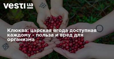 Клюква: царская ягода доступная каждому - польза и вред для организма - vesti.ua