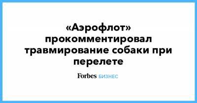 «Аэрофлот» прокомментировал травмирование собаки при перелете - forbes.ru - Симферополь