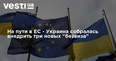 Ольга Стефанишина - На пути в ЕС - Украина собралась внедрить три новых "безвиза" - vesti.ua - Украина