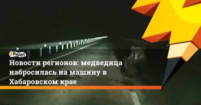 Новости регионов: медведица набросилась на машину в Хабаровском крае - ridus.ru - Челябинская обл. - Хабаровский край - Ставрополье