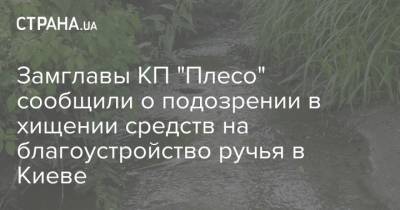 Замглавы КП "Плесо" сообщили о подозрении в хищении средств на благоустройство ручья в Киеве - strana.ua - Киев - район Голосеевский, Киев