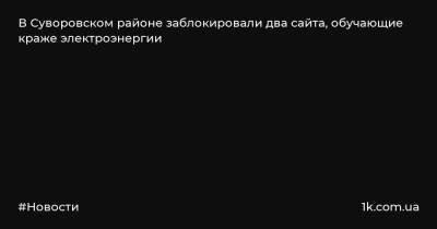 В Суворовском районе заблокировали два сайта, обучающие краже электроэнергии - 1k.com.ua - Украина - Тульская обл. - район Суворовский