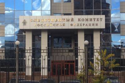 Александр Бастрыкин - СК РФ поручил доложить обстоятельства дела о найденных в Москве детях - vm.ru - Москва - Россия