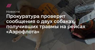 Михаил Демин - Прокуратура проверит сообщения о двух собаках, получивших травмы на рейсах «Аэрофлота» - tvrain.ru - Симферополь