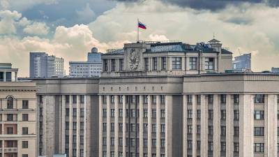 Василий Пискарев - В Госдуме проверят попытки иностранного влияния на голосование по Конституции - iz.ru - Россия