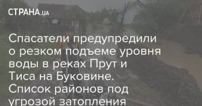 Спасатели предупредили о подъеме уровня воды в реках Прут и Тиса на Буковине. Список районов под угрозой - strana.ua - Ивано-Франковская обл. - Черновицкая обл. - Черновцы - Гсчс