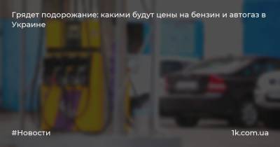 Геннадий Рябцев - Сергей Куюн - Грядет подорожание: какими будут цены на бензин и автогаз в Украине - 1k.com.ua - Украина