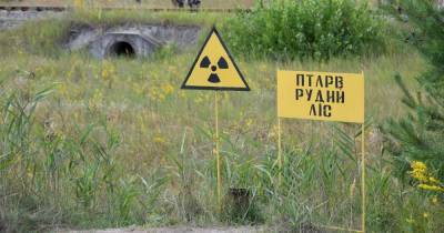 У сотрудника Чернобыльской АЭС подтвердили коронавирус - tsn.ua
