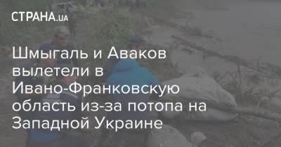 Денис Шмыгаль - Шмыгаль и Аваков вылетели в Ивано-Франковскую область из-за потопа на Западной Украине - strana.ua - Украина - Ивано-Франковская обл. - Черновицкая обл.