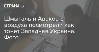 Арсен Аваков - Денис Шмыгаль - Шмыгаль и Аваков с воздуха посмотрели как тонет Западная Украина. Фото - strana.ua - Украина - Ивано-Франковская обл.