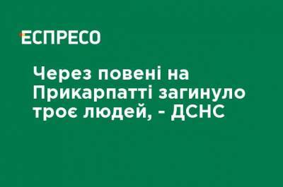 Арсен Аваков - Денис Шмыгаль - Из-за наводнений в Прикарпатье погибли три человека, - ГСЧС - ru.espreso.tv - Украина - Ивано-Франковская обл. - Ивано-Франковск - Гсчс