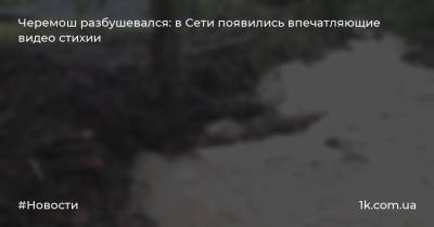 Черемош разбушевался: в Сети появились впечатляющие видео стихии - 1k.com.ua - Украина - Ивано-Франковская обл.