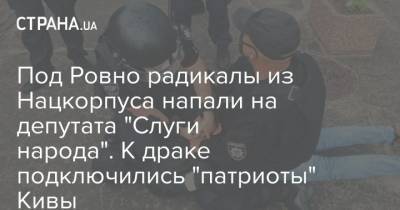 Сергей Литвиненко - Илья Кива - Под Ровно радикалы из Нацкорпуса напали на депутата "Слуги народа". К драке подключились "патриоты" Кивы - strana.ua - Украина - Житомир