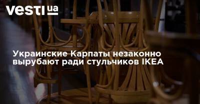 Украинские Карпаты незаконно вырубают ради стульчиков IKEA - vesti.ua - Украина