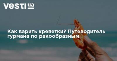 Как варить креветки? Путеводитель гурмана по ракообразным - vesti.ua