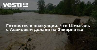 Денис Шмыгаль - Готовятся к эвакуации. Что Шмыгаль с Аваковым делали на Закарпатье - vesti.ua - Украина - Ивано-Франковская обл. - Черновицкая обл. - Закарпатская обл.