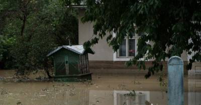 Пик поднятия воды на Буковине ожидают сегодня вечером - tsn.ua