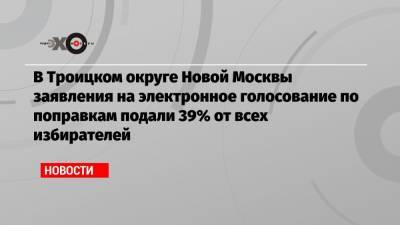 Сергей Шпилькин - В Троицком округе Новой Москвы заявления на электронное голосование по поправкам подали 39% от всех избирателей - echo.msk.ru - Москва