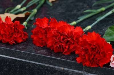Анастасия Тропицель - Тело блогера Тропицель кремируют на Бали без присутствия семьи - aif.ru