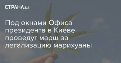 Под окнами Офиса президента в Киеве проведут марш за легализацию марихуаны - strana.ua - Украина - Киев