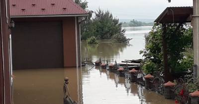 Наводнения на Западе Украины: видео затопленных поселков, визит чиновников и вероятная причина трагедии - tsn.ua - Украина - Черновцы