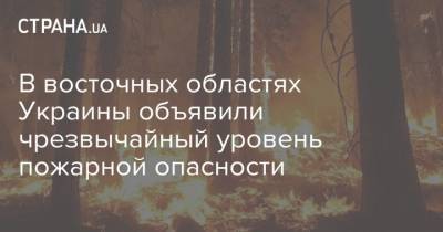 В восточных областях Украины объявили чрезвычайный уровень пожарной опасности - strana.ua - Украина - Кривой Рог - Запорожская обл. - Сумская обл. - Гсчс