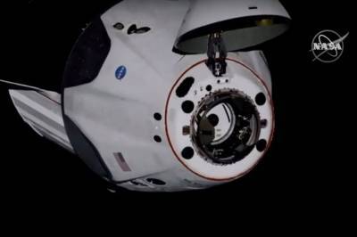 Роберт Бенкен - Херли Даг - Crew Dragon - Crew Dragon вернется на Землю с астронавтами НАСА в августе - aif.ru